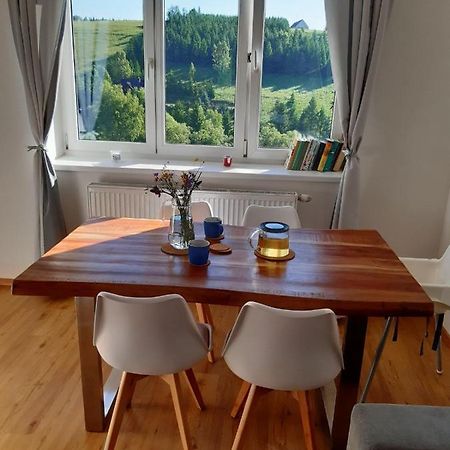 Apartman U Kunstatskeho Mlyna Orlicke Zahori Exterior foto