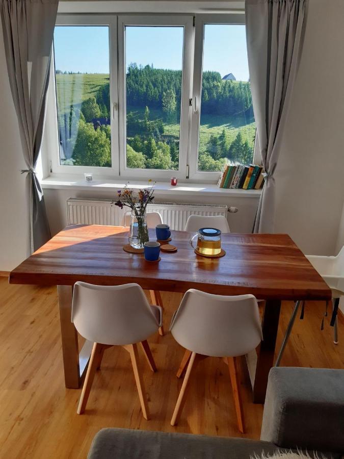 Apartman U Kunstatskeho Mlyna Orlicke Zahori Exterior foto