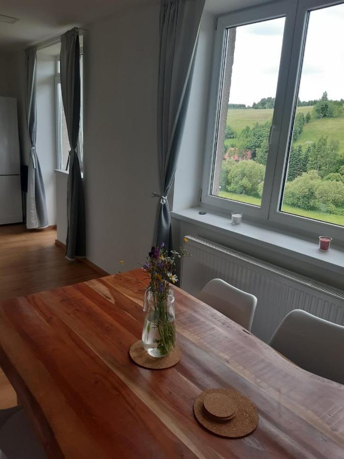 Apartman U Kunstatskeho Mlyna Orlicke Zahori Exterior foto