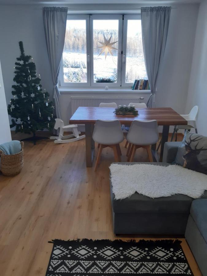 Apartman U Kunstatskeho Mlyna Orlicke Zahori Exterior foto