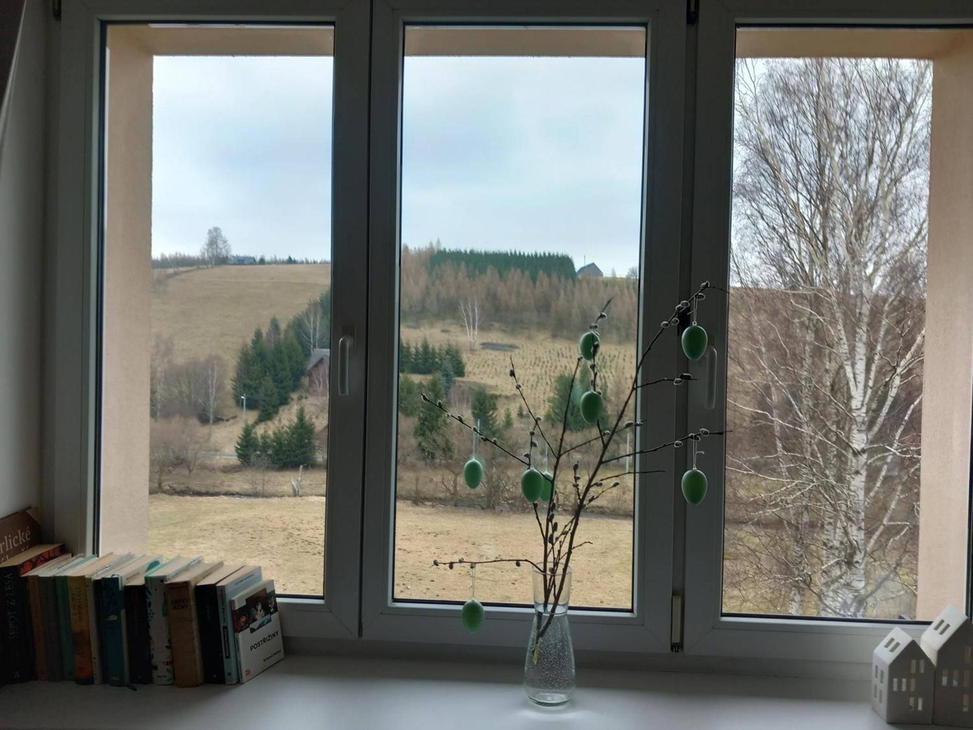 Apartman U Kunstatskeho Mlyna Orlicke Zahori Exterior foto